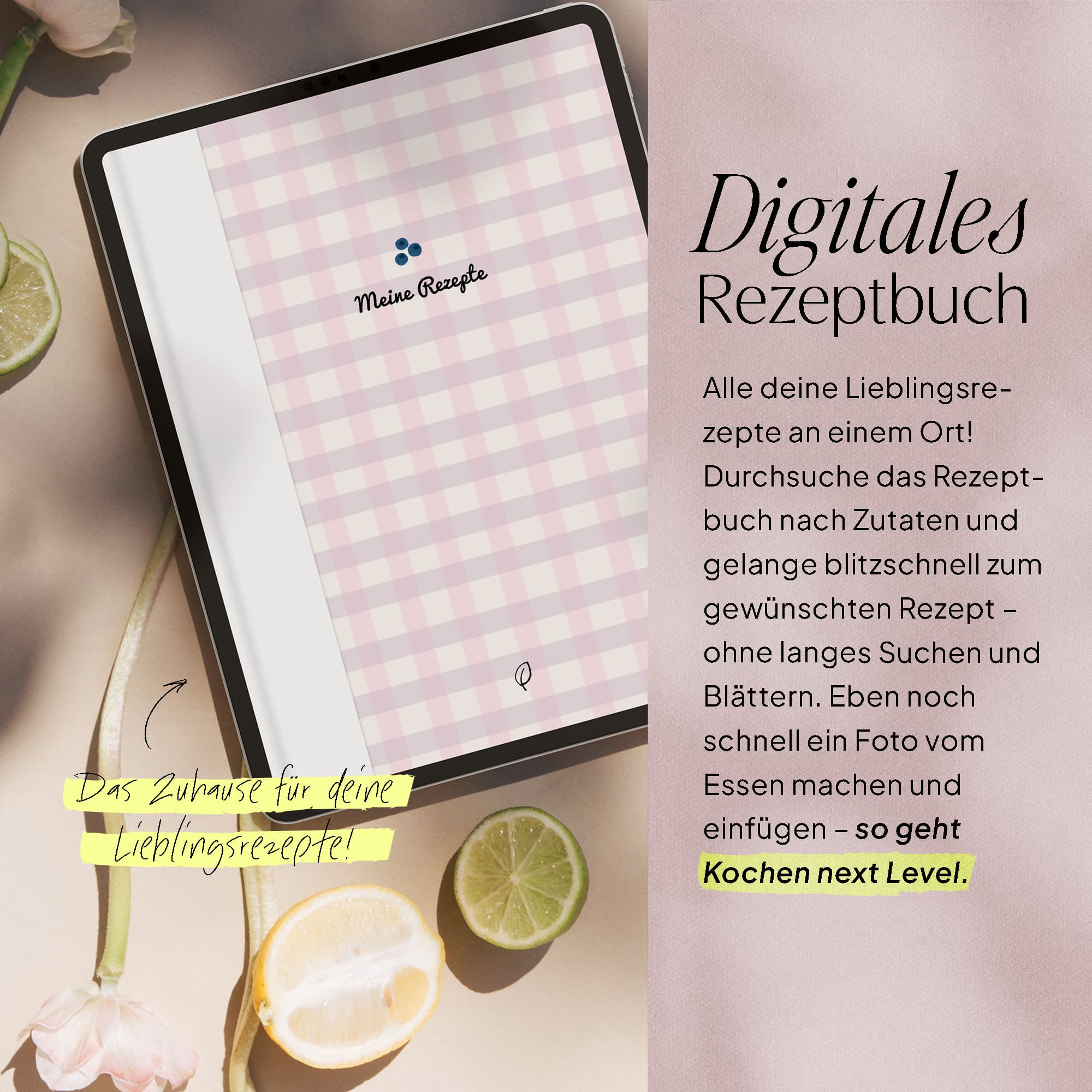 Vorschaubild 11