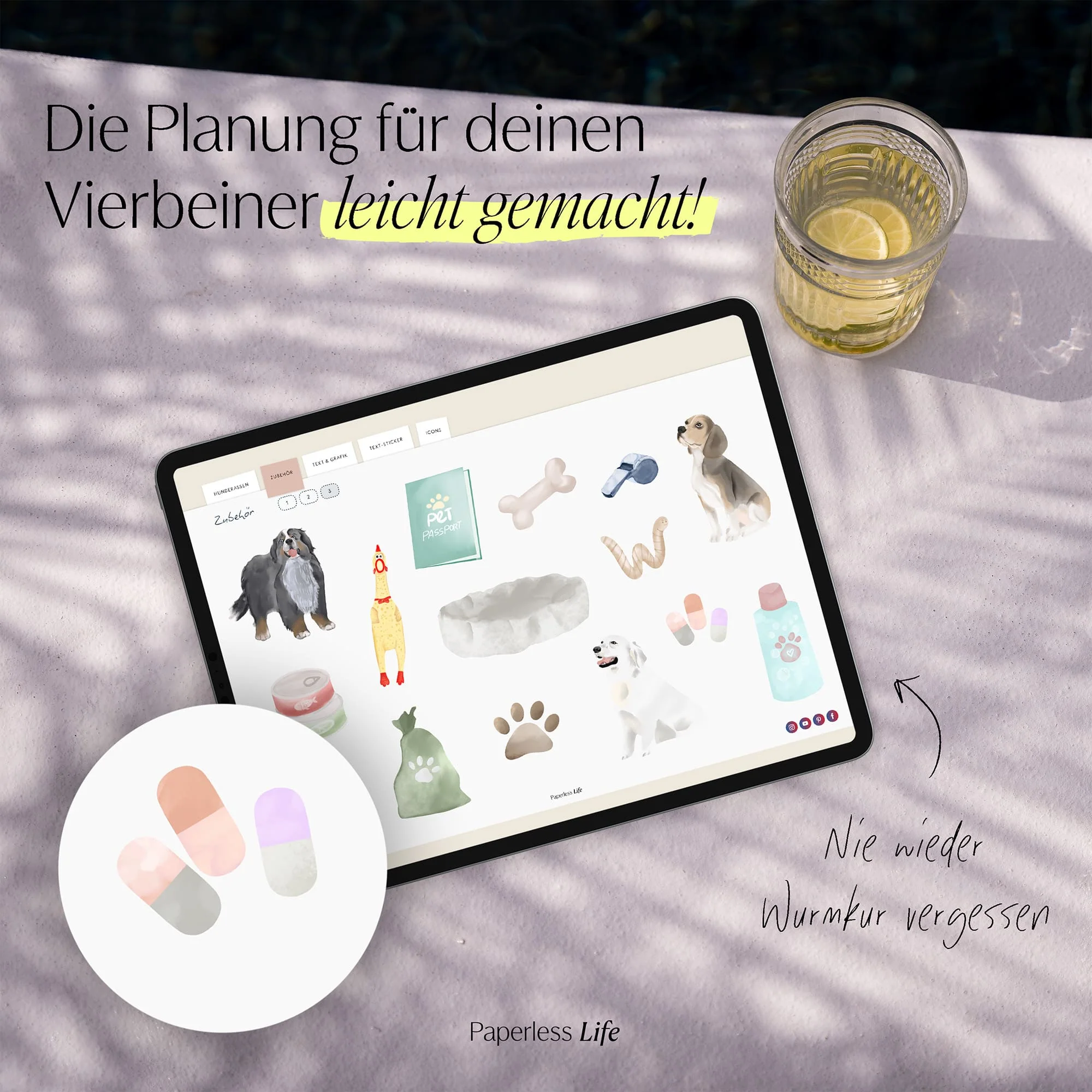 Vorschaubild 7