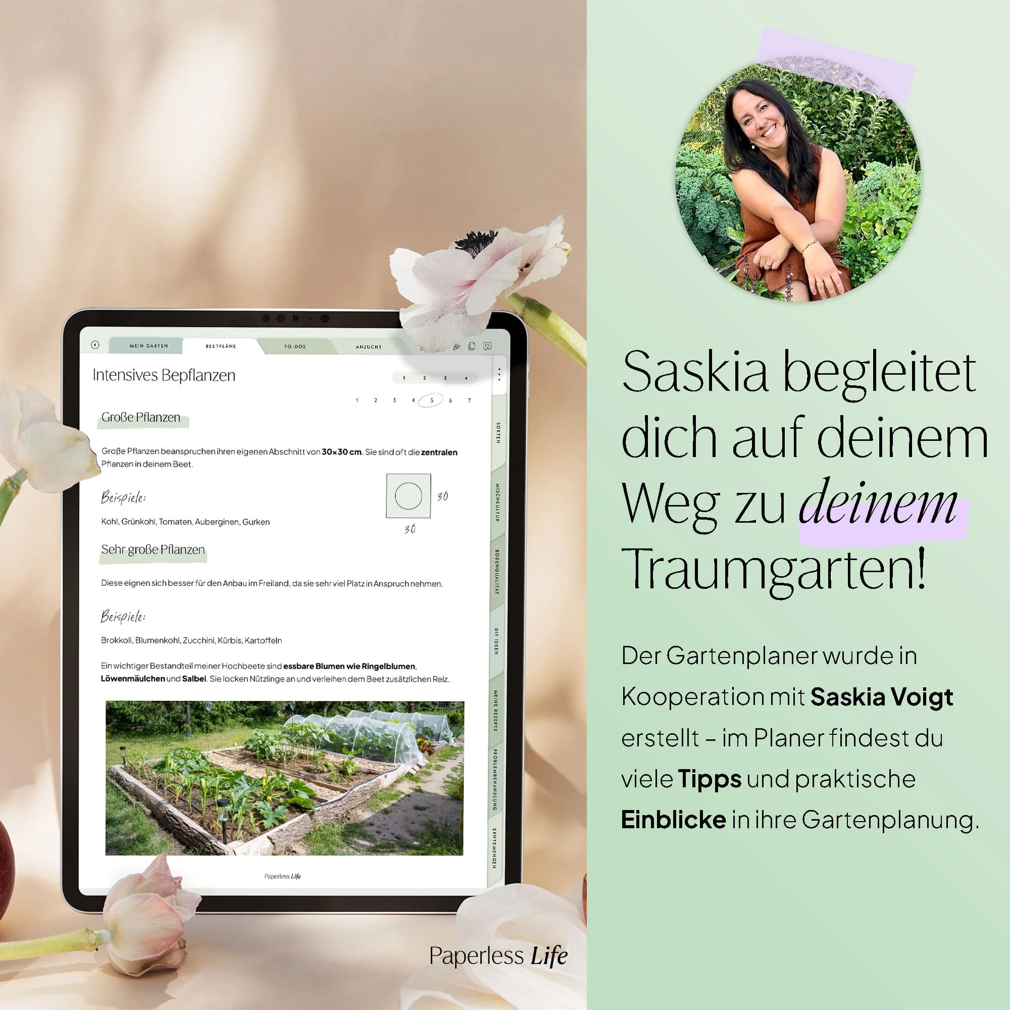 Vorschaubild 4