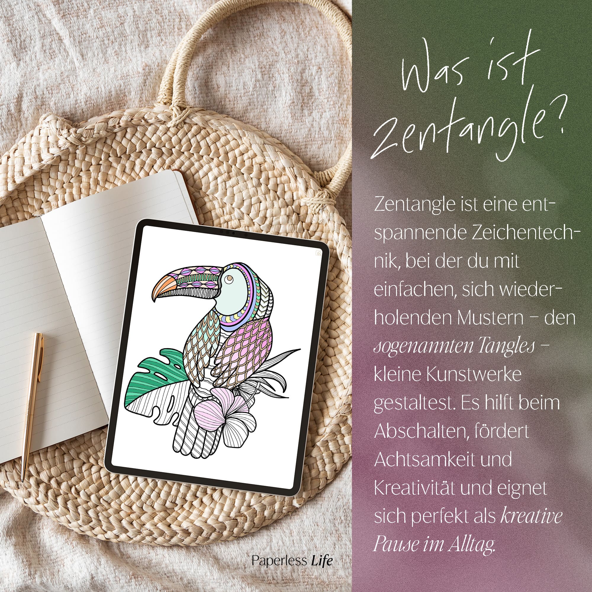 Vorschaubild 8