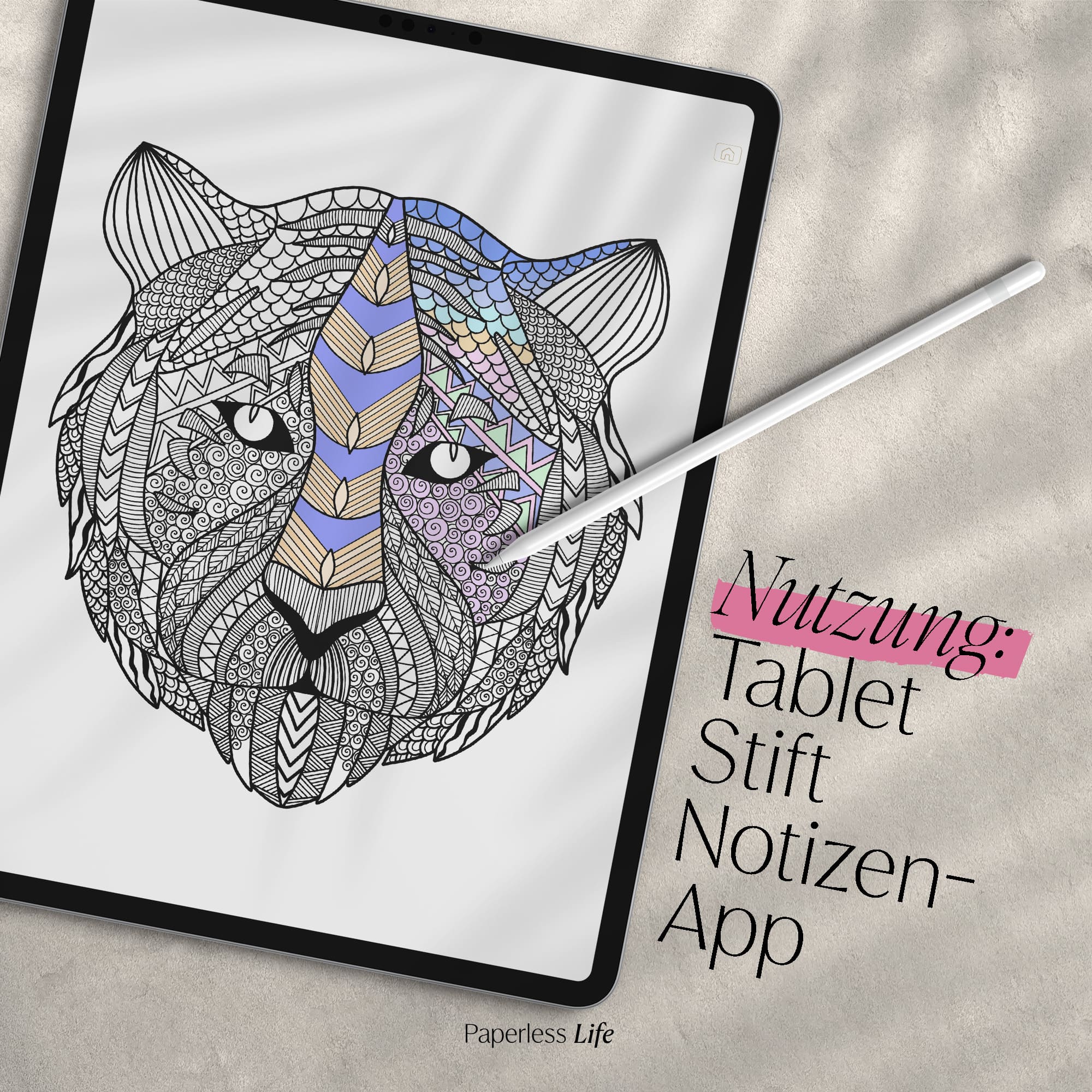Vorschaubild 6