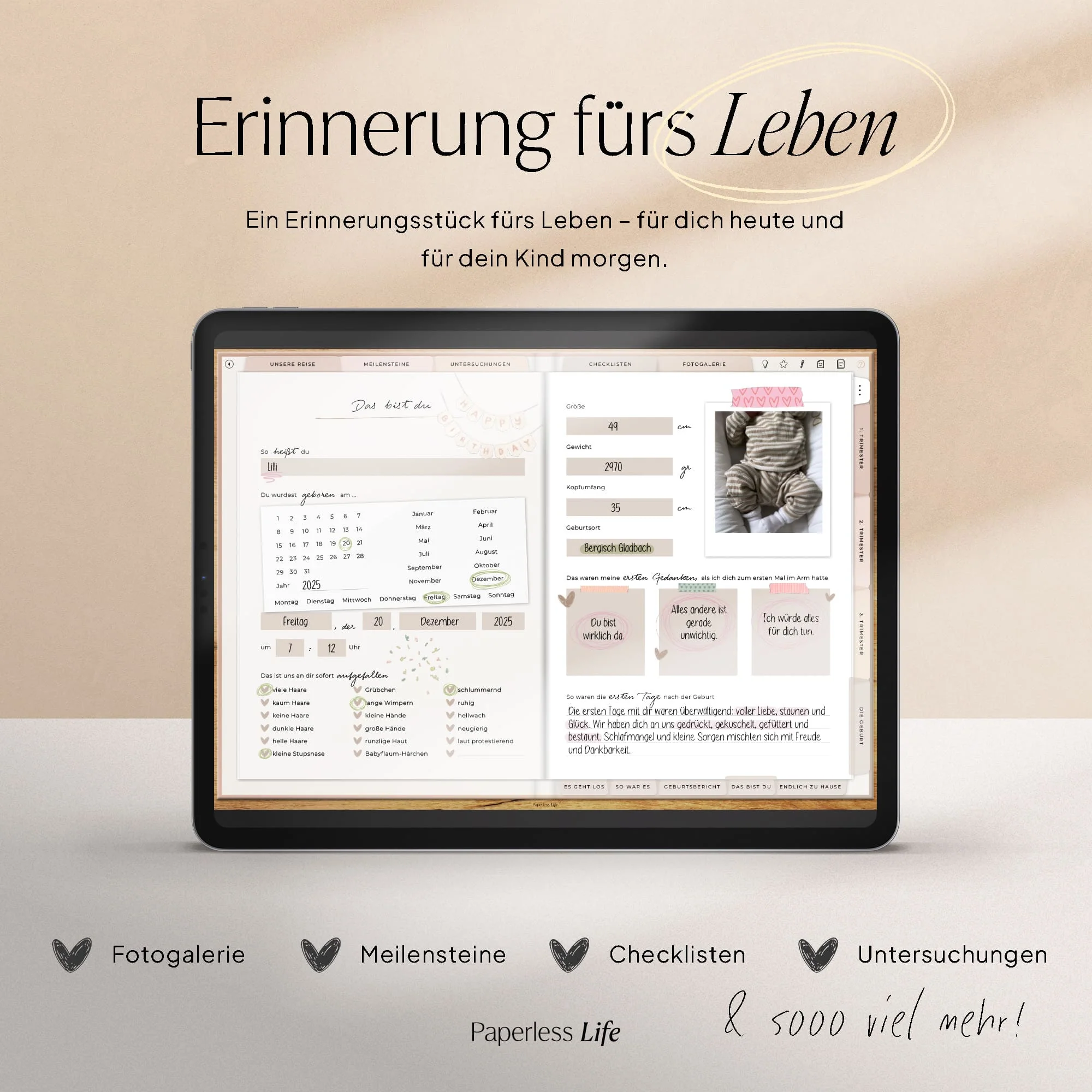 Vorschaubild 10