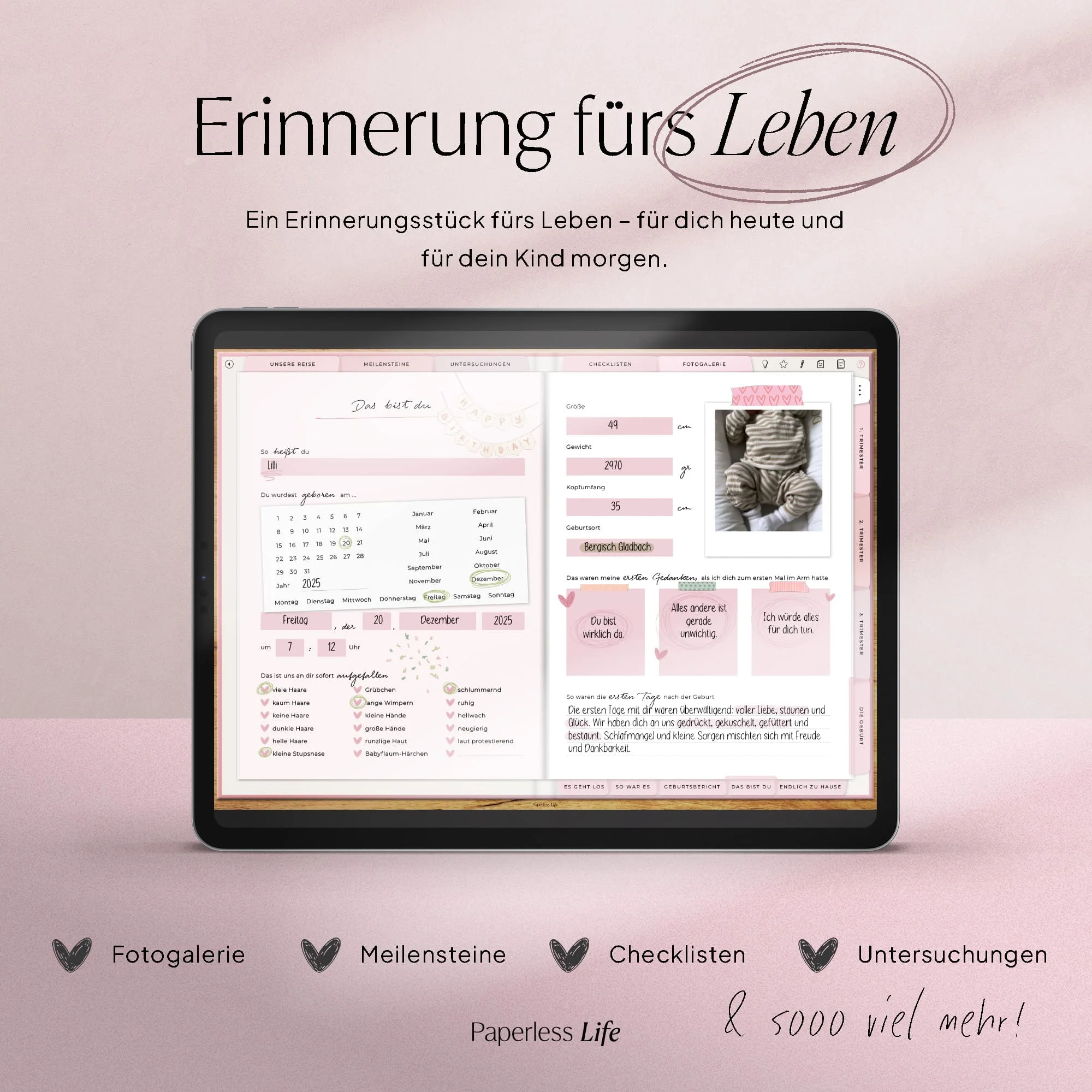 Vorschaubild 17