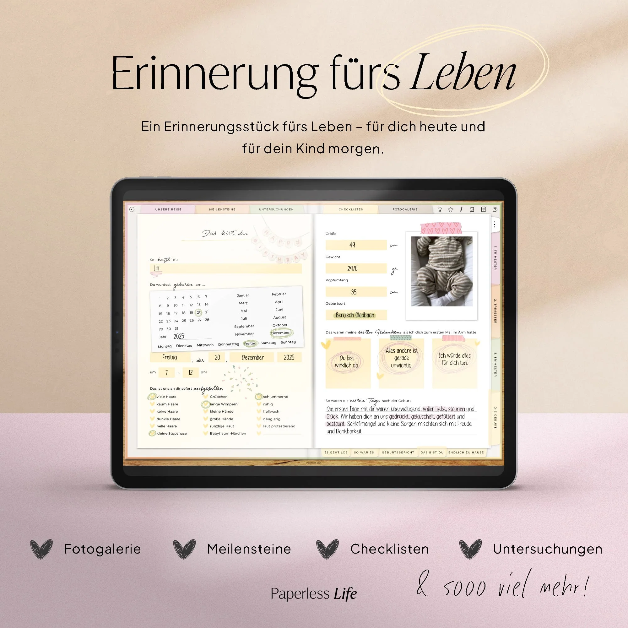 Vorschaubild 3