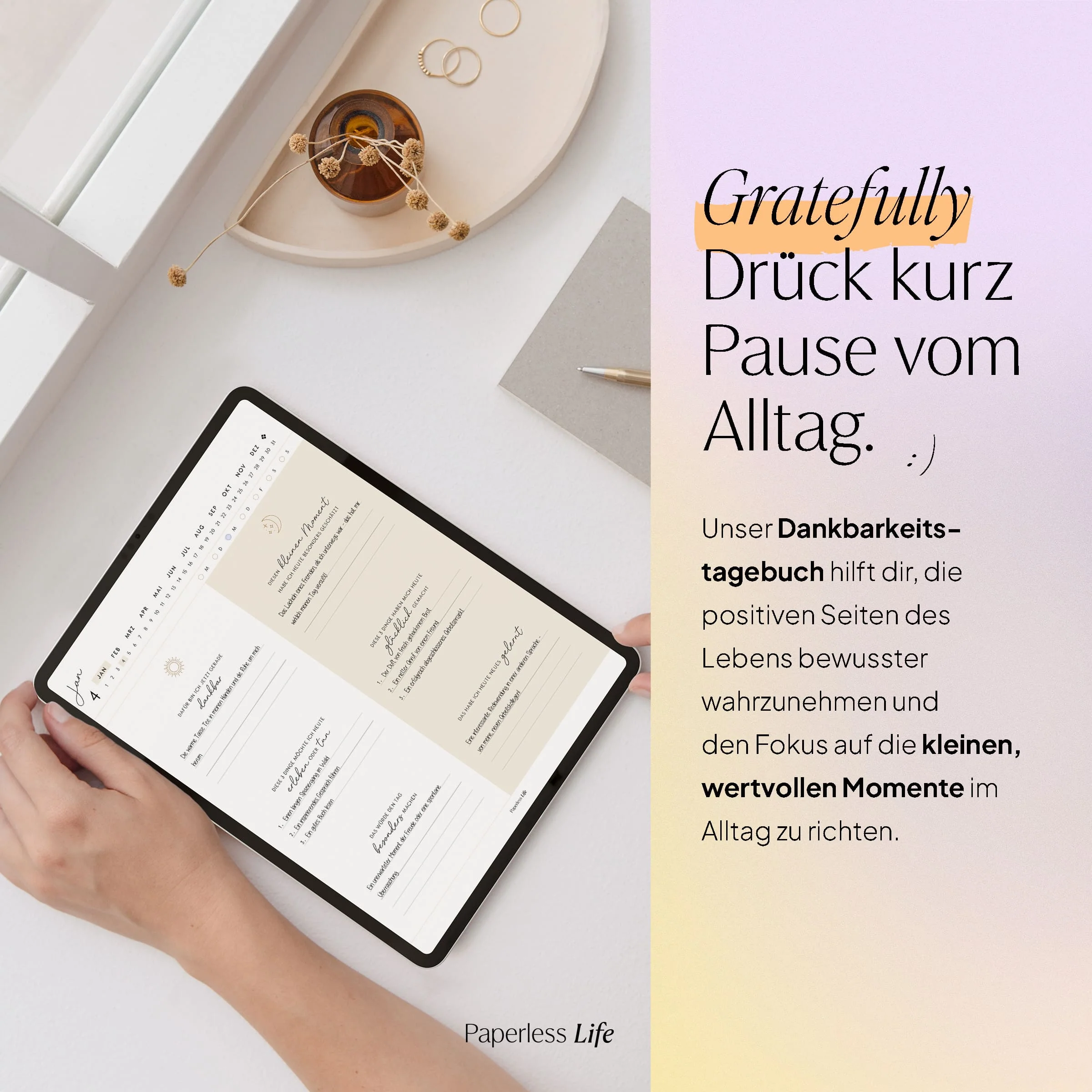 Vorschaubild 13